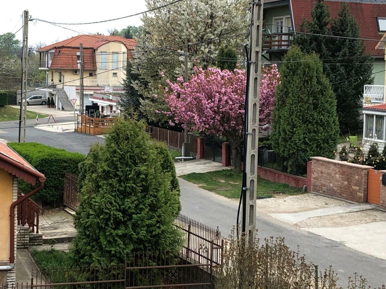 Jozsef Apartments House 佐洛卡罗斯 外观 照片